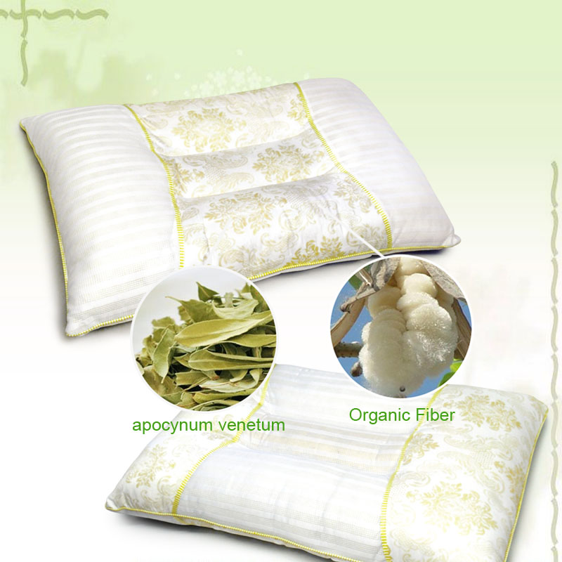 Aroma Health Pillow CZ-21HE