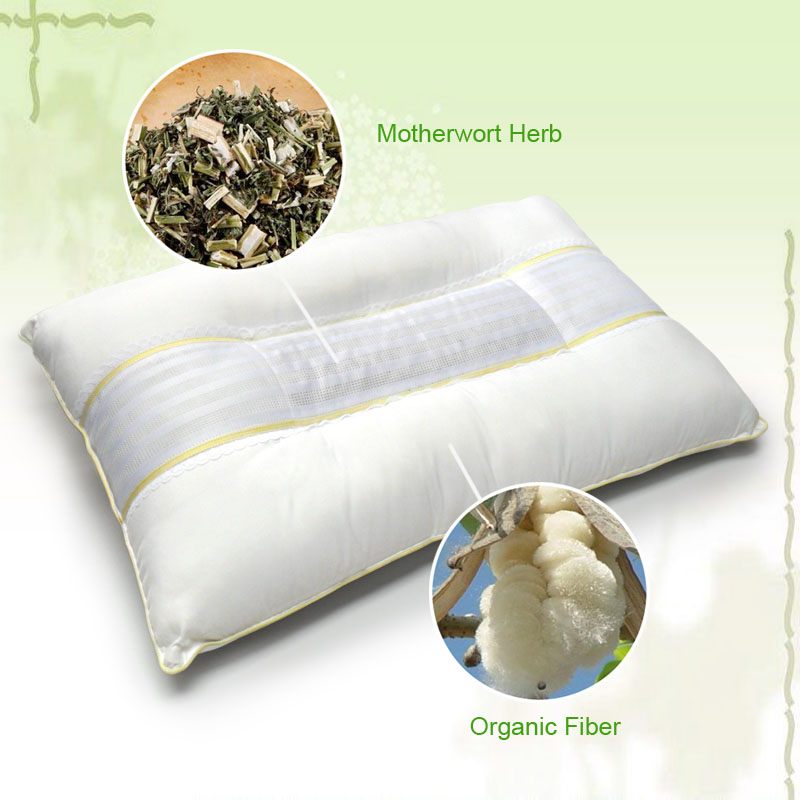 Aroma Health Pillow CZ-23HE
